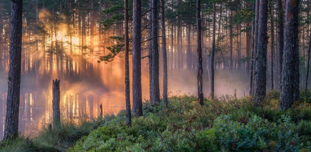 Tips for cleaning your sauna for summer season