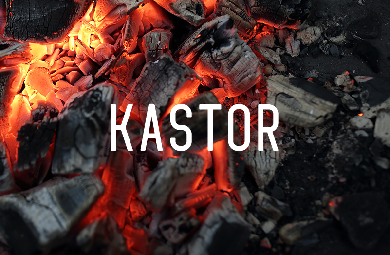kastor-1-1